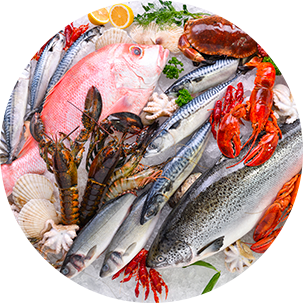 Cloisons du Midi conformité métier poissonnerie