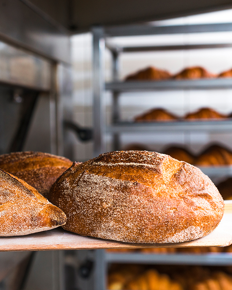 Mise en conformité boulangerie patisserie artisans region PACA Cloisons du Midi